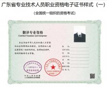 关于推行广东省专业技术人员职业资格电子证书的通知