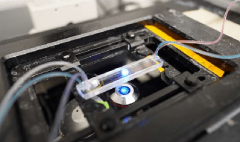 广东省机电工程继续教育专业课《微电极阵列及应用》